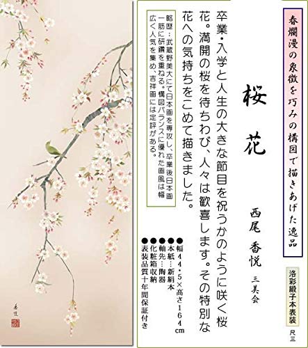 掛け軸 桜 さくら 肉質 掛軸 春 景色 壁掛け 在銘 大型 Amazon | 掛け軸 春 桜花・西尾香悦 尺三 掛軸 桜 床の間 | 絵画生活